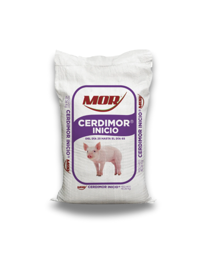 Cerdimor Inicio Paletizado